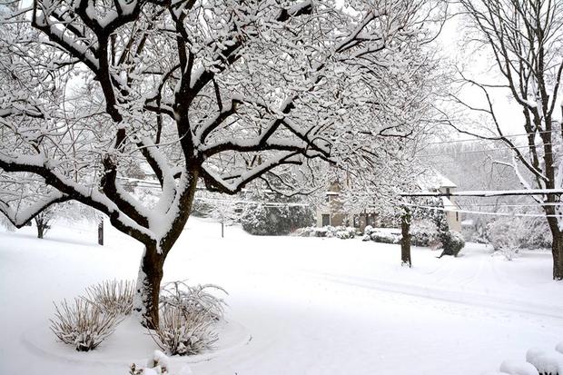 ny-is-truly-beautiful-in-the-snow-new-rochelle-steven-kessler.jpg 