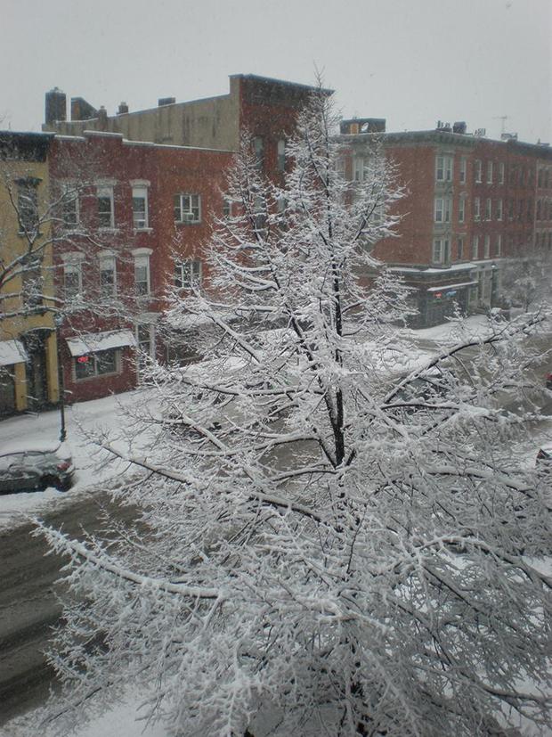 hoboken-a-winter-wonderland-robert-webb.jpg 