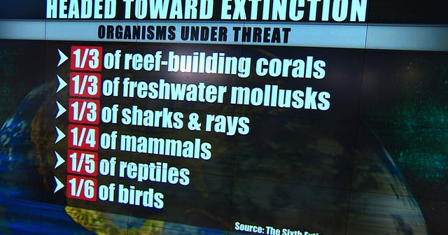 Are humans changing the world faster than animals can evolve? - CBS News