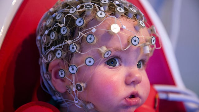 Unlocking secrets of babies' brains 