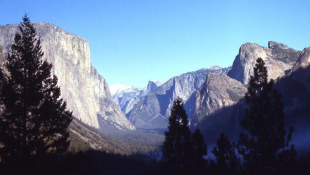 Yosemite rangers try to keep hungry bears away from humans – The Mercury  News