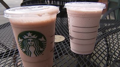 starbucksbugdrinks.jpg 
