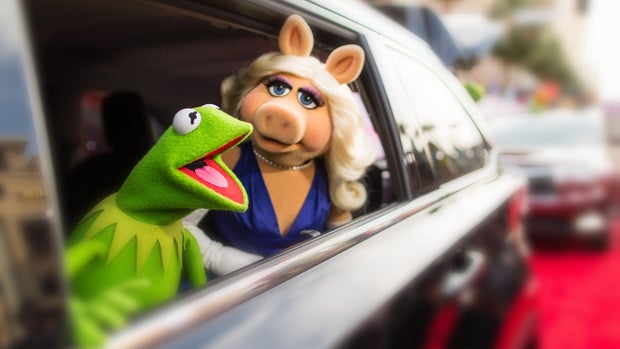 Muppets hit the red carpet