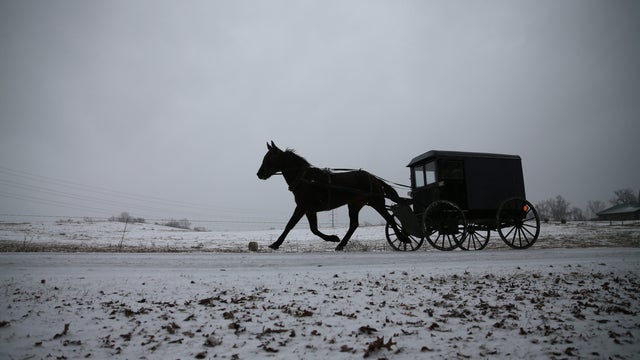 amish-buggy-464214057.jpg 