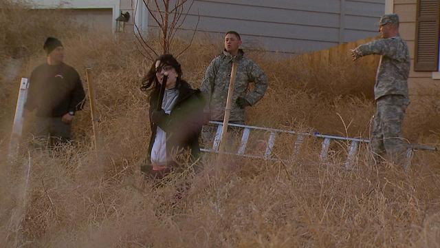 VIDEO] Colorado neighborhood buried by thousands of tumbleweeds