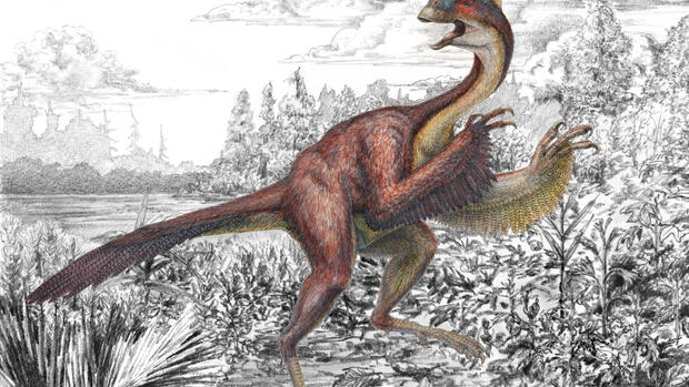 "Chicken from hell" dinosaur makes formal scientific debut 