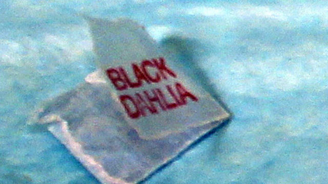 black-dahlia-_delcoda.jpg 