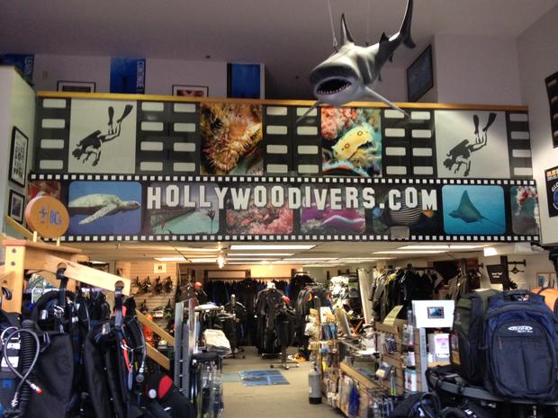hollywood divers 
