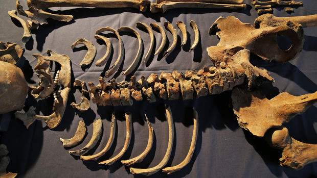 Plague victim skeletons found beneath London subway 