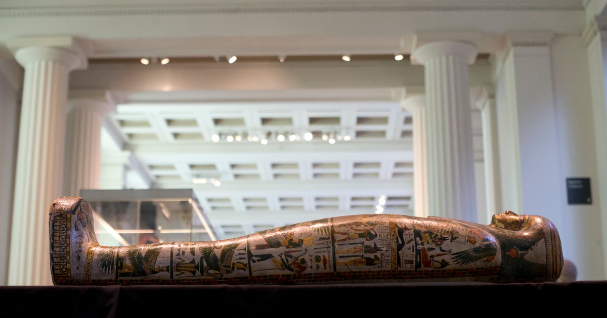 人体模型 British Museum Mummy: the inside story Mummy - The Inside Story (New ed.) /anglais: TAYLOR JOHN