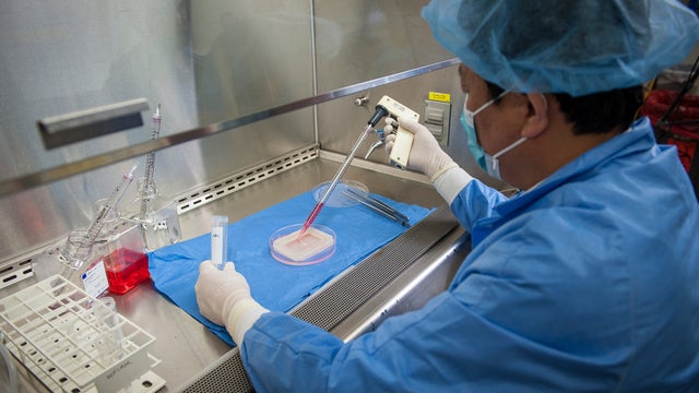 A scientist demonstrates the process to engineer a vaginal organ in a laboratory in Winston Salem 