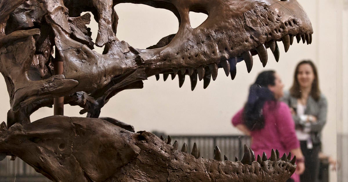 New Study Rewrites History Of Dinosaur Decline - CBS News