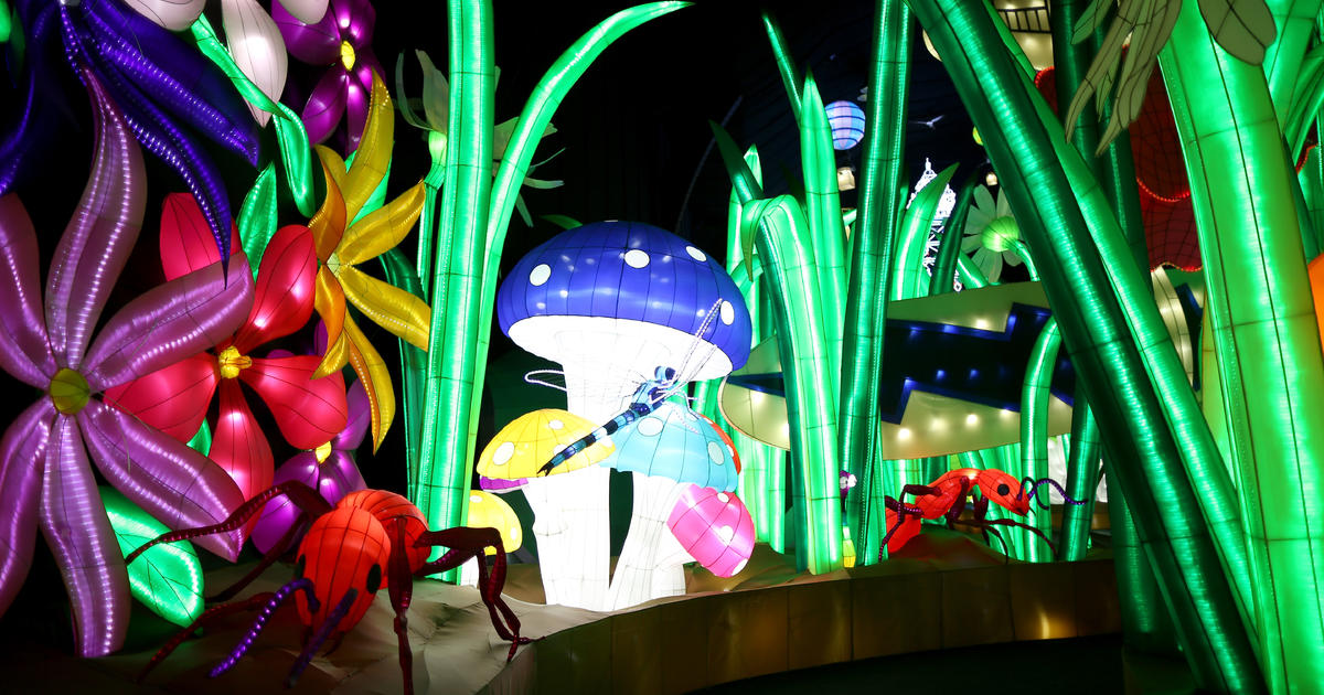 Massive illuminated park opens in England