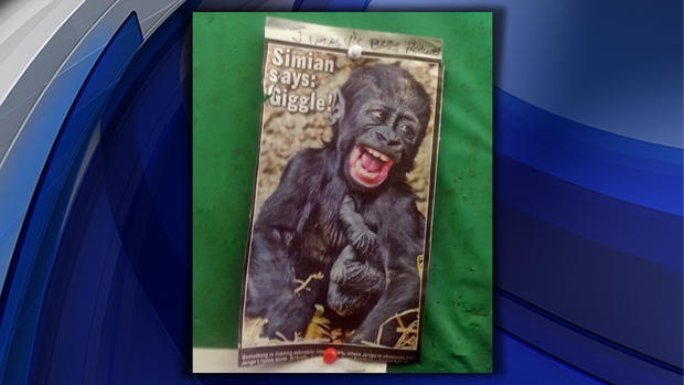 Monkey picture labeled 'Jimmy's baby picture' that was posted on bulletin board of Town of Hempstead highway department facility in Levittown 