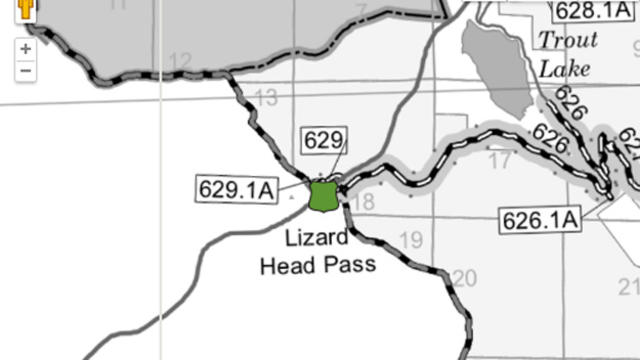 lizard-head-pass-copy.jpg 
