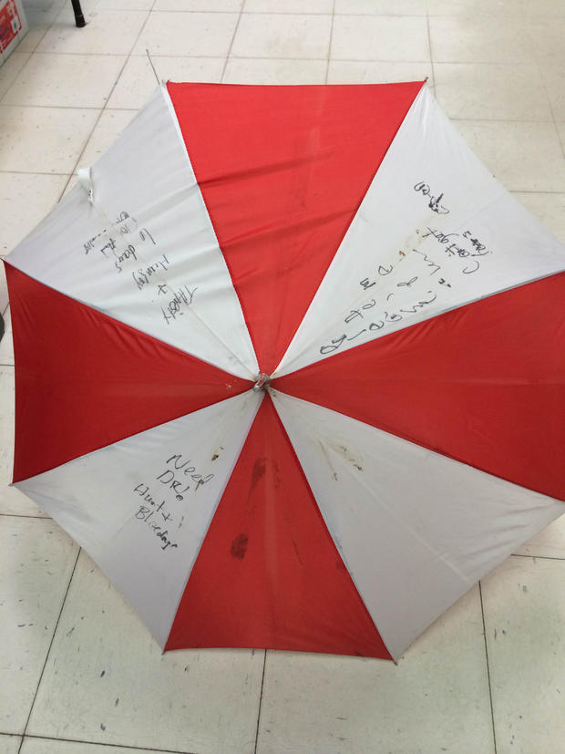Kristin Hopkins Umbrella 
