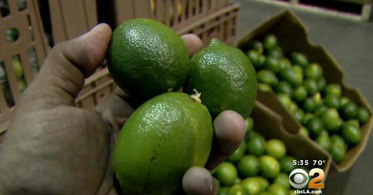 Lime Shortage Leaves A Sour Taste For Those Celebrating Cinco De Mayo CBS Los Angeles