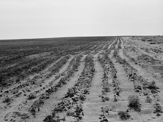 loc-dust-bowl-dalhart-texas-3c30633.jpg 