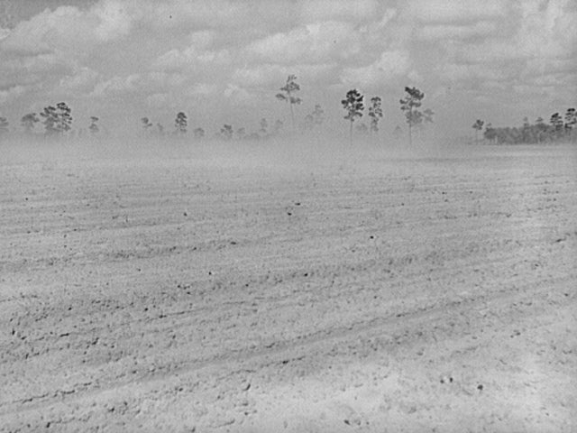 loc-dust-bowl-florida-fsa2000032223.jpg 