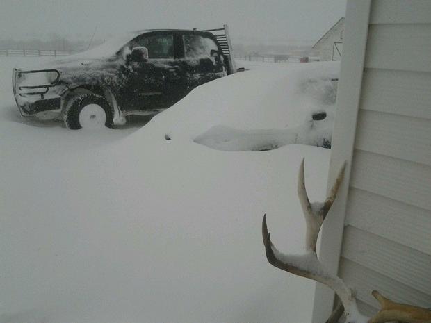 mothers-day-storm-6-walden-from-kendra-lynn-gollobith-looking-at-buried-mini-cooper.jpg 