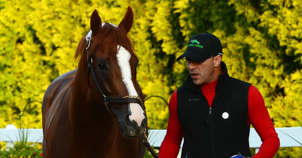 California Chrome favorite for Preakness Stakes in Triple Crown hunt ...