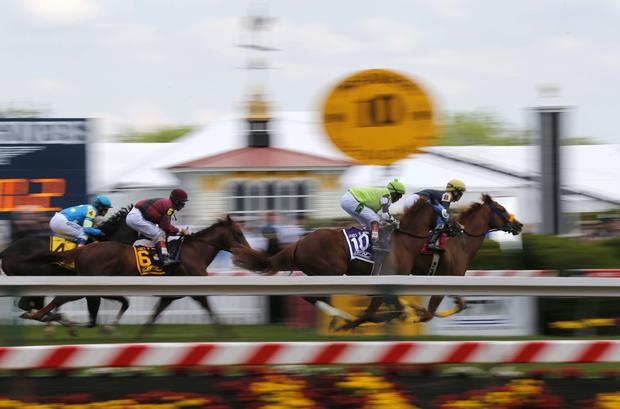 A horse race goes down the front stretch during the eighth race of the day before the 139th Preakness Stakes at Pimlico Race Course in Baltimore May 17, 2014. 