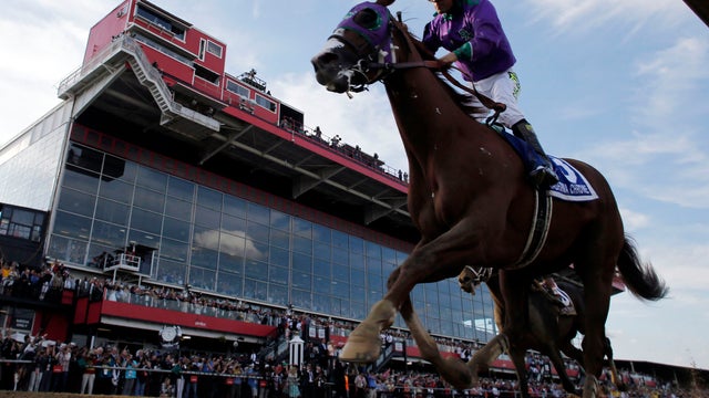 Victor Espinoza aboard California Chrome crosses the finish line to the 139th Preakness Stakes at Pimlico Race Course in Baltimore May 17, 2014. 