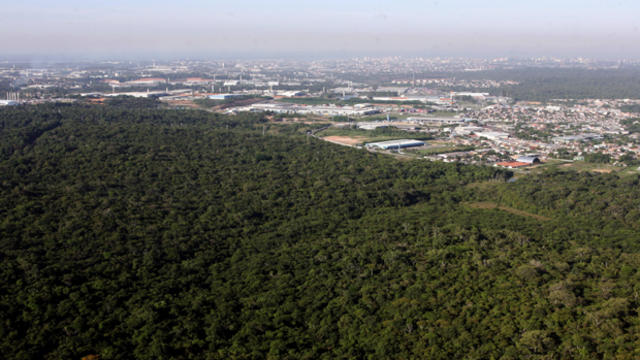 Aerial view of the Amazon forest next to 2014 host World Cup host city Manaus in northern Brazil 