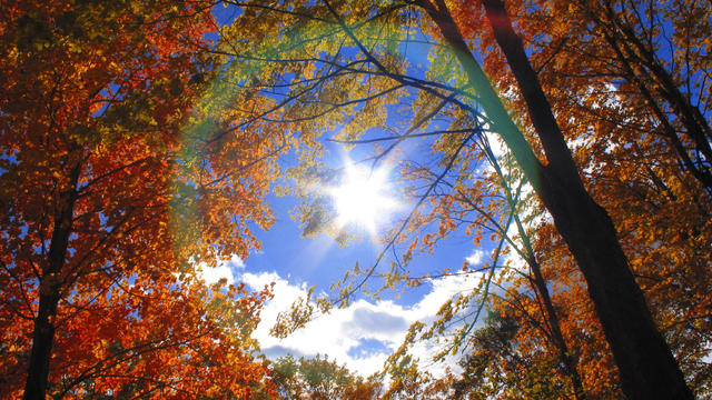 autumn-day-fall-weather.jpg 