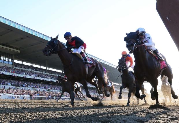 Joel Rosario aboard Tonalist (11) wins the 2014 Belmont Stakes at Belmont Park as Javier Castellano aboard Commissioner (8) and Robby Albarado aboard Medal Count (1) finish 2nd and 3rd respectively at Belmont Park in Elmont, New York, June 7, 2014. 