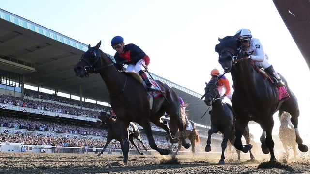 Joel Rosario aboard Tonalist (11) wins the 2014 Belmont Stakes at Belmont Park as Javier Castellano aboard Commissioner (8) and Robby Albarado aboard Medal Count (1) finish 2nd and 3rd respectively at Belmont Park in Elmont, New York, June 7, 2014. 