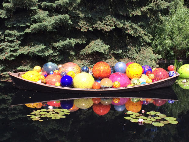 Chihuly exhibit at the Denver Botanic Gardens on June 12 before it was open to the public 
