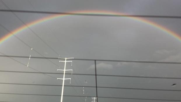 alexandria-rainbow-steve-stanton.jpeg 