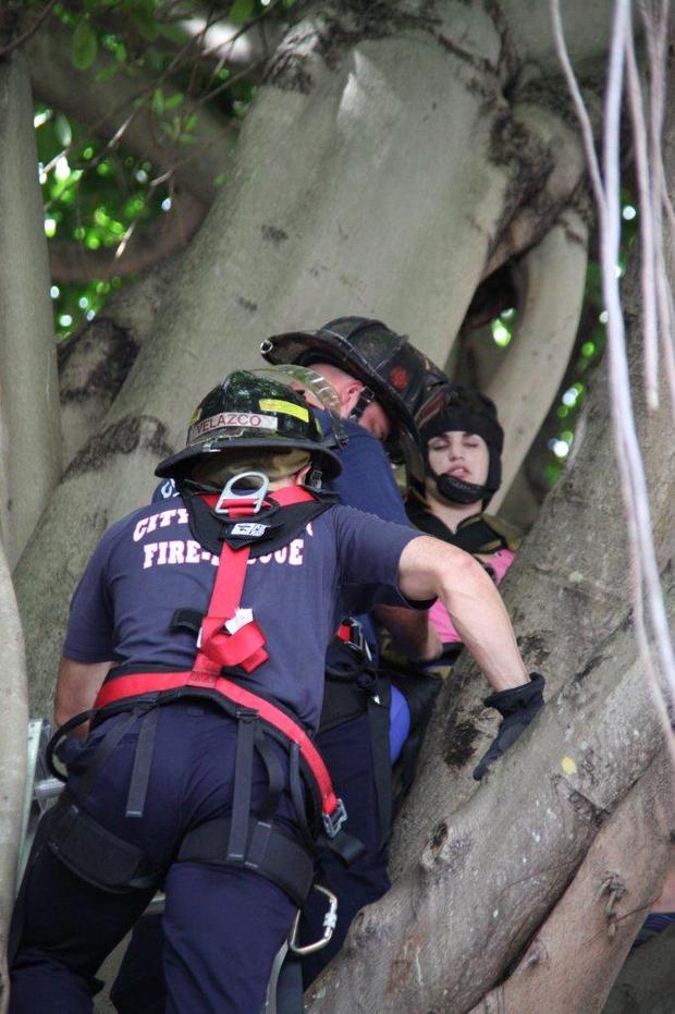 woman-stuck-in-tree-3.jpg 