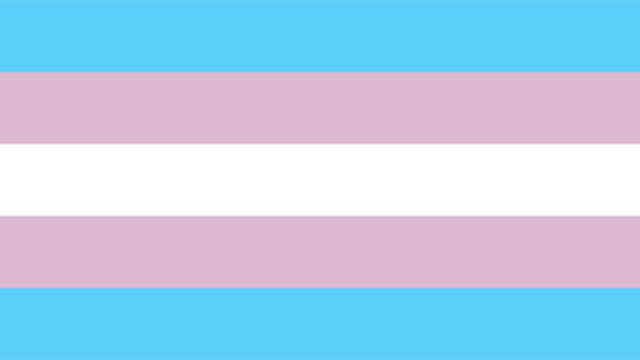 transgenderflag.jpg 