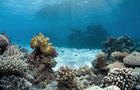 great-barrier-reef-australia-lagoon-jayne-jenkins.jpg 