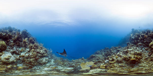 belize-barrier-reef-reserve-system-belize-glovers-reef.jpg 