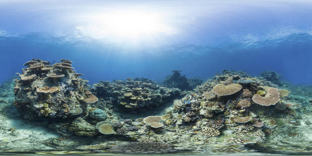 great-barrier-reef-australia-wilson-reef.jpg 