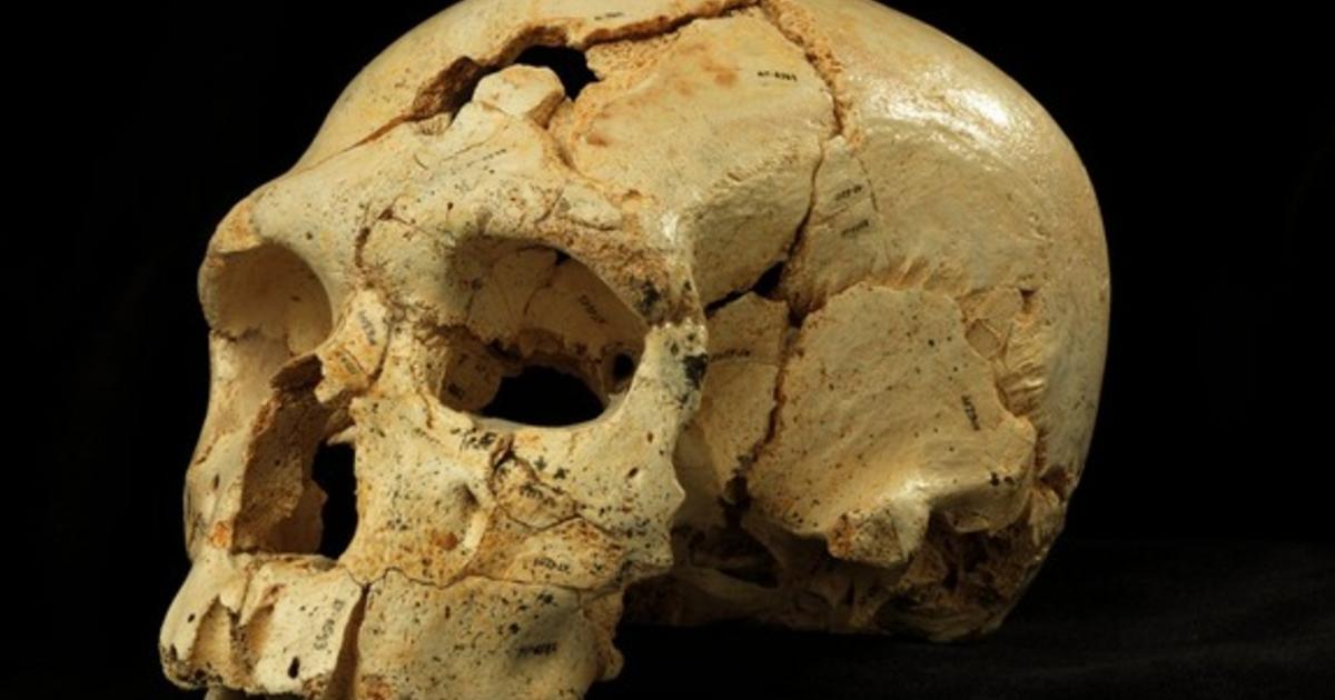 Ancient skulls reveal 