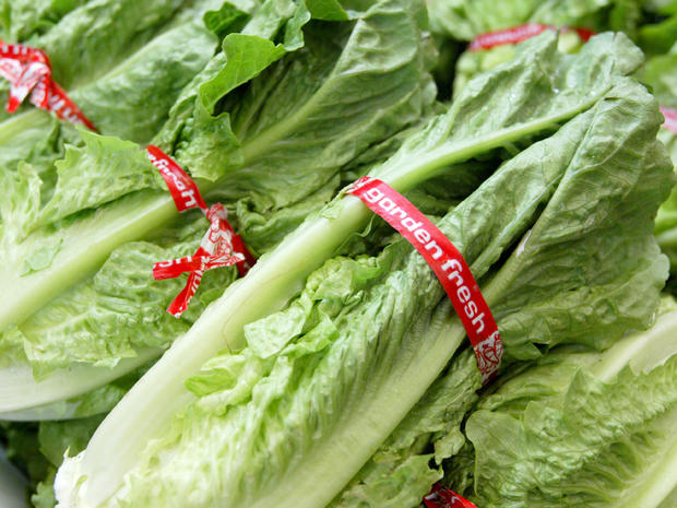 lettuce.jpg 