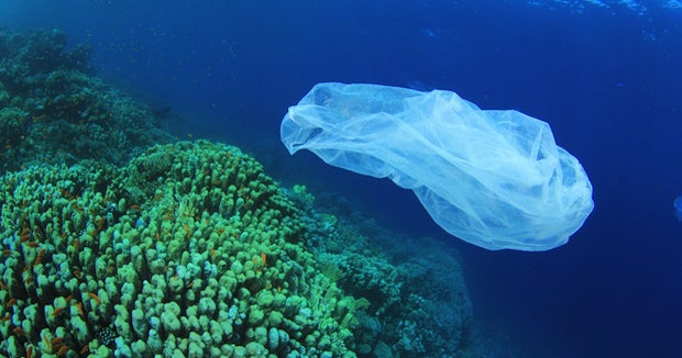 What's happening to plastic trash littering the ocean? CBS News