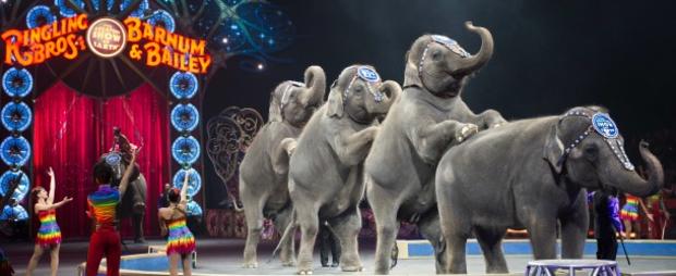 Elephants #2 Ringling Bros. and Barnum &amp; Bailey presents LEGENDS - Credit Feld Entertainment 610 header 