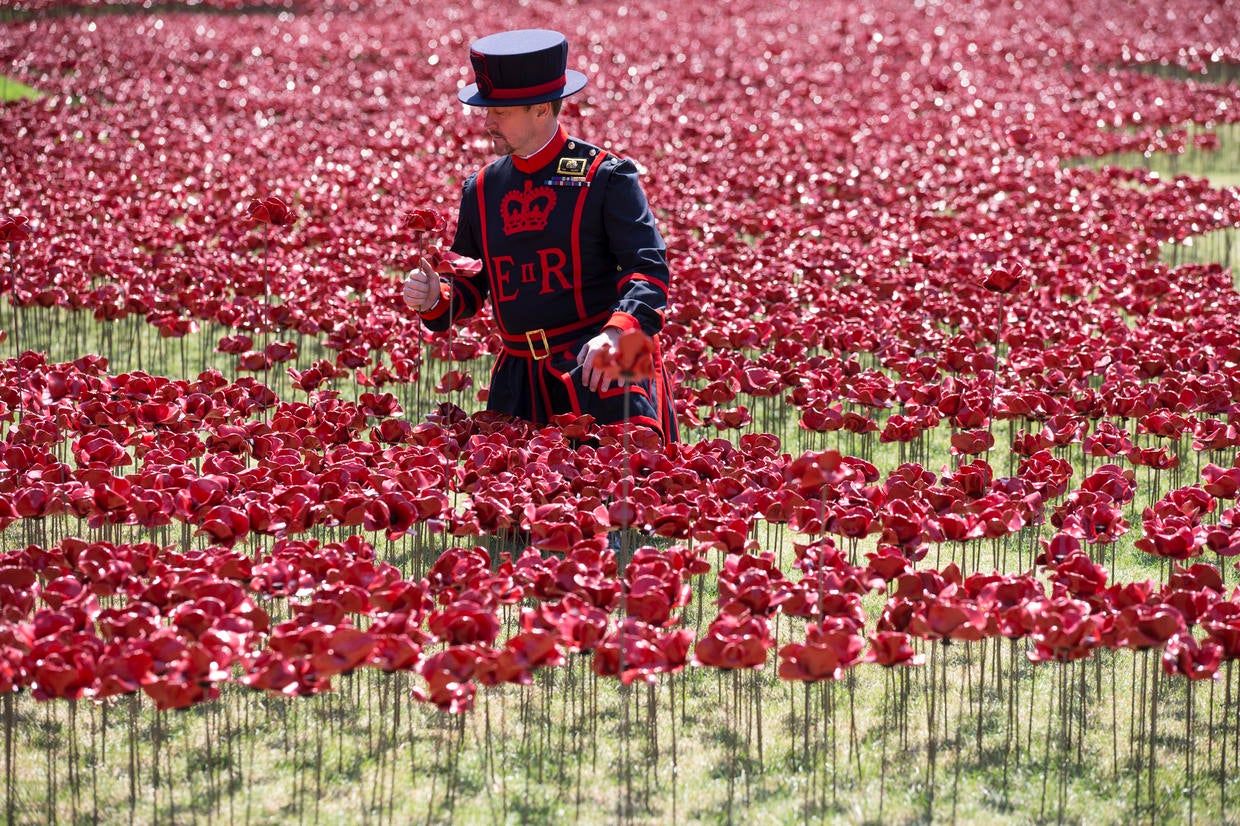 Sea of poppies at the Tower