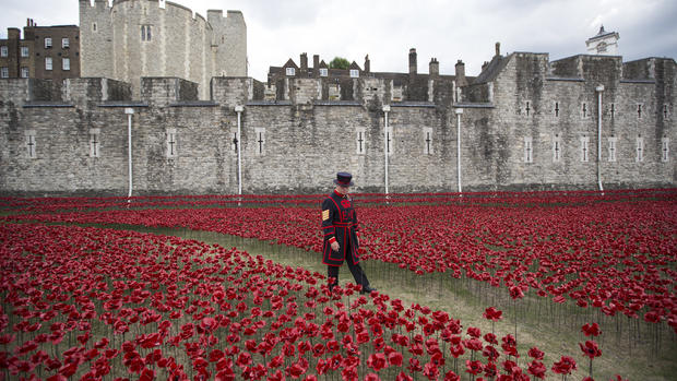 Sea of poppies at the Tower 