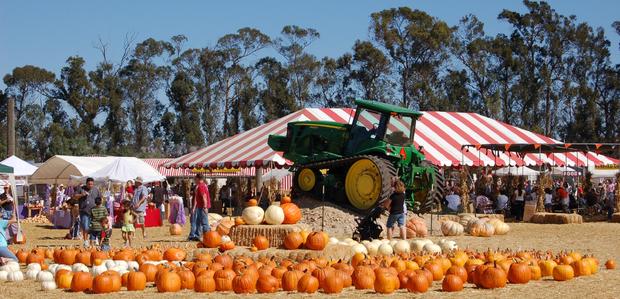 Underwood Family Farms Fall Festival - Tractor with Pumpkins 