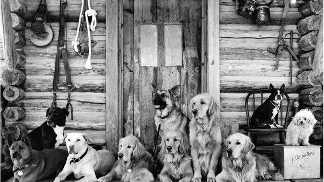 Bruce Weber, iconic photographer, focuses on Detroit pet project