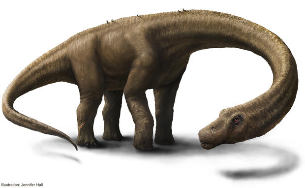 artist-rendering-2-hall-dreadnoughtus-reconstruction.jpg 