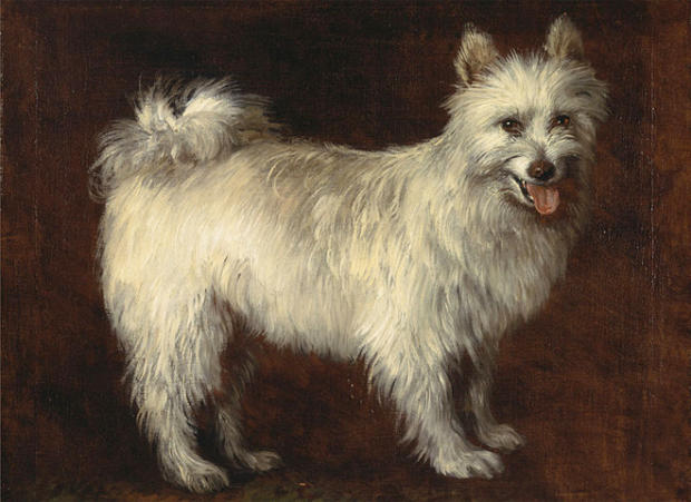 spitz-dog-1765-thomas-gainsborough.jpg 