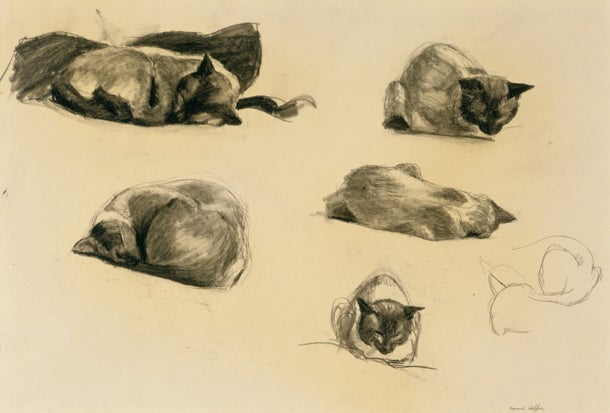 blanton-cat-study-edward-hopper.jpg 