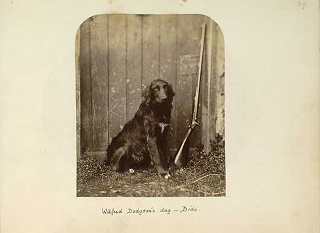 blanton-wilfred-dodgsons-dog-dido.jpg 